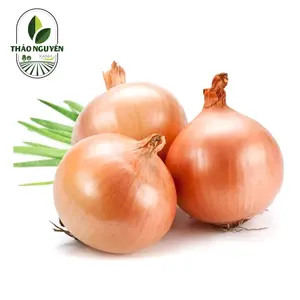 Hành Tây - White Onion - THAO NGUYEN XANH